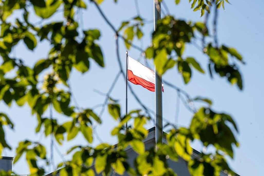 Obrazek artykułu