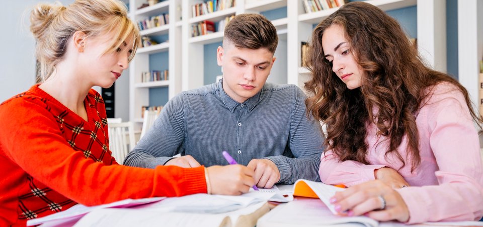 Kierunki studiów licencjackich