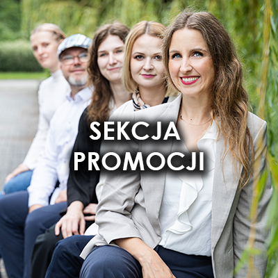 Strona sekcji promocji