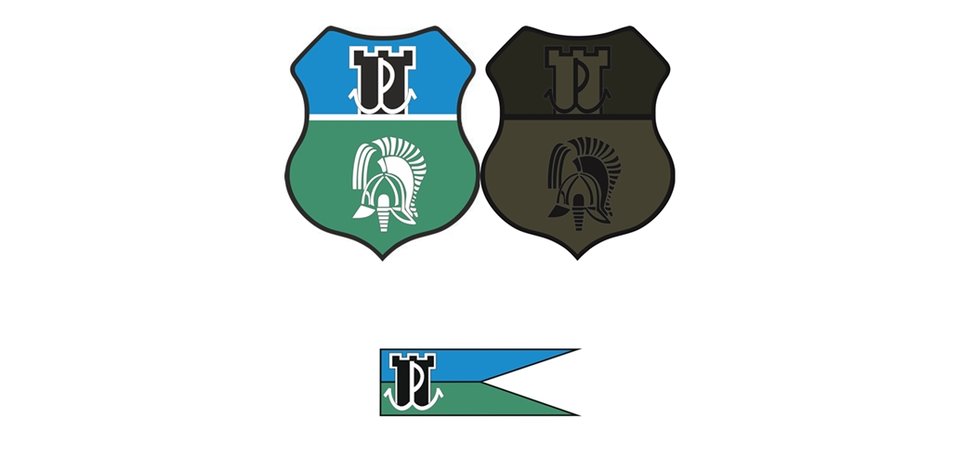 Oznaka rozpoznawcza Proporczyk