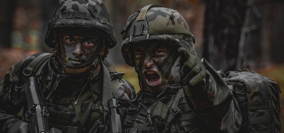 Terytorialna Służba Wojskowa