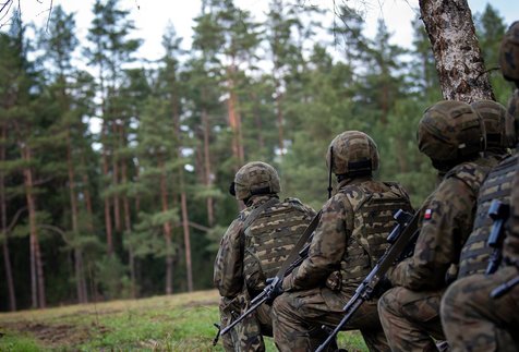 Dobrowolna zasadnicza służba wojskowa