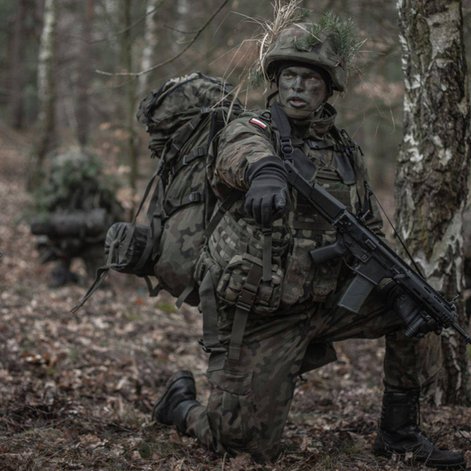 Zastępca dowódcy sekcji