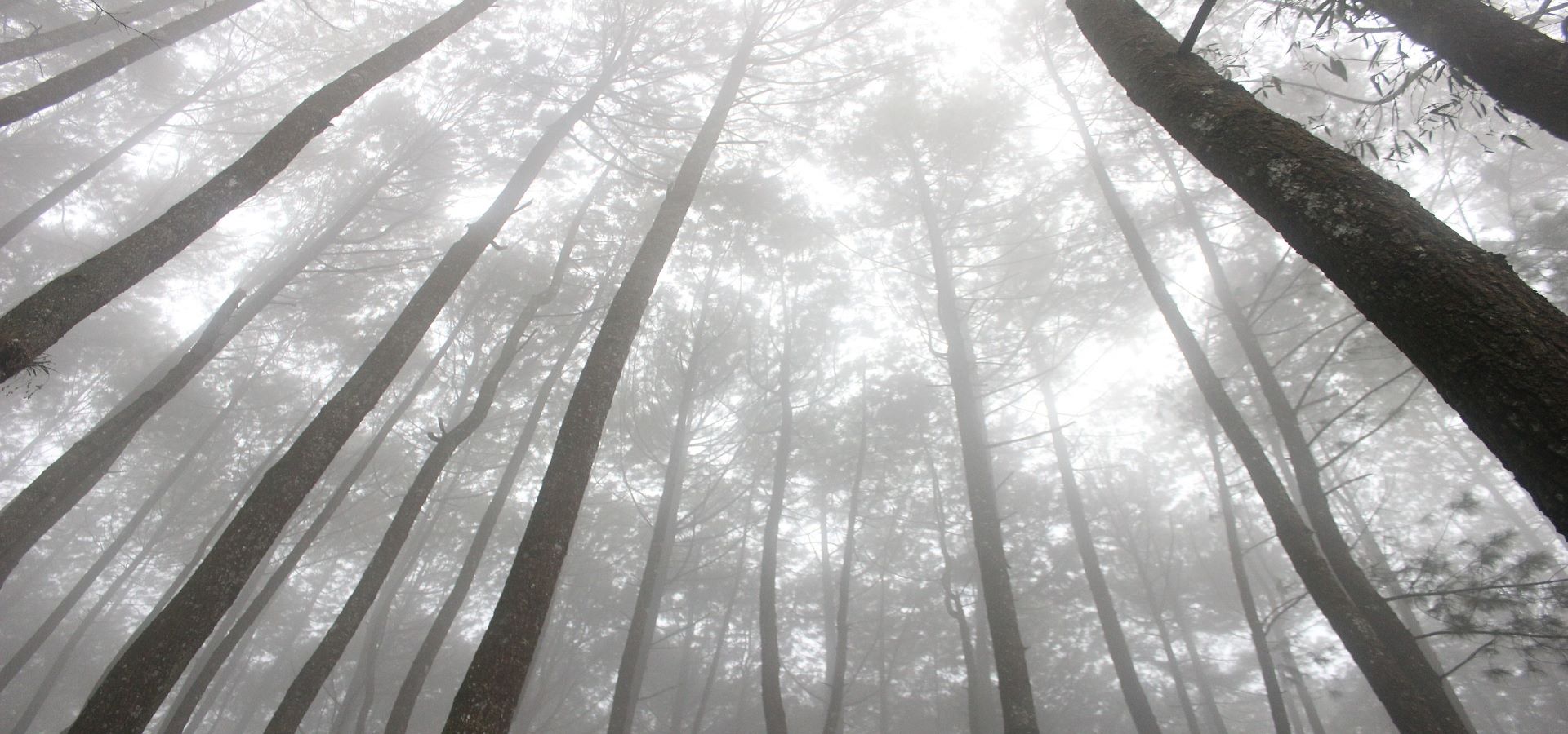 Rusza czwarta edycja konkursu „Polskie serce pękło. Katyń 1940”