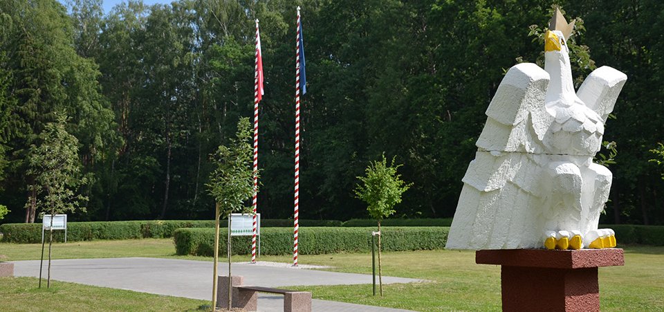 Studium Szkolenia Wojskowego